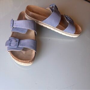 Periwinkle Blue Platform Sandals size 9